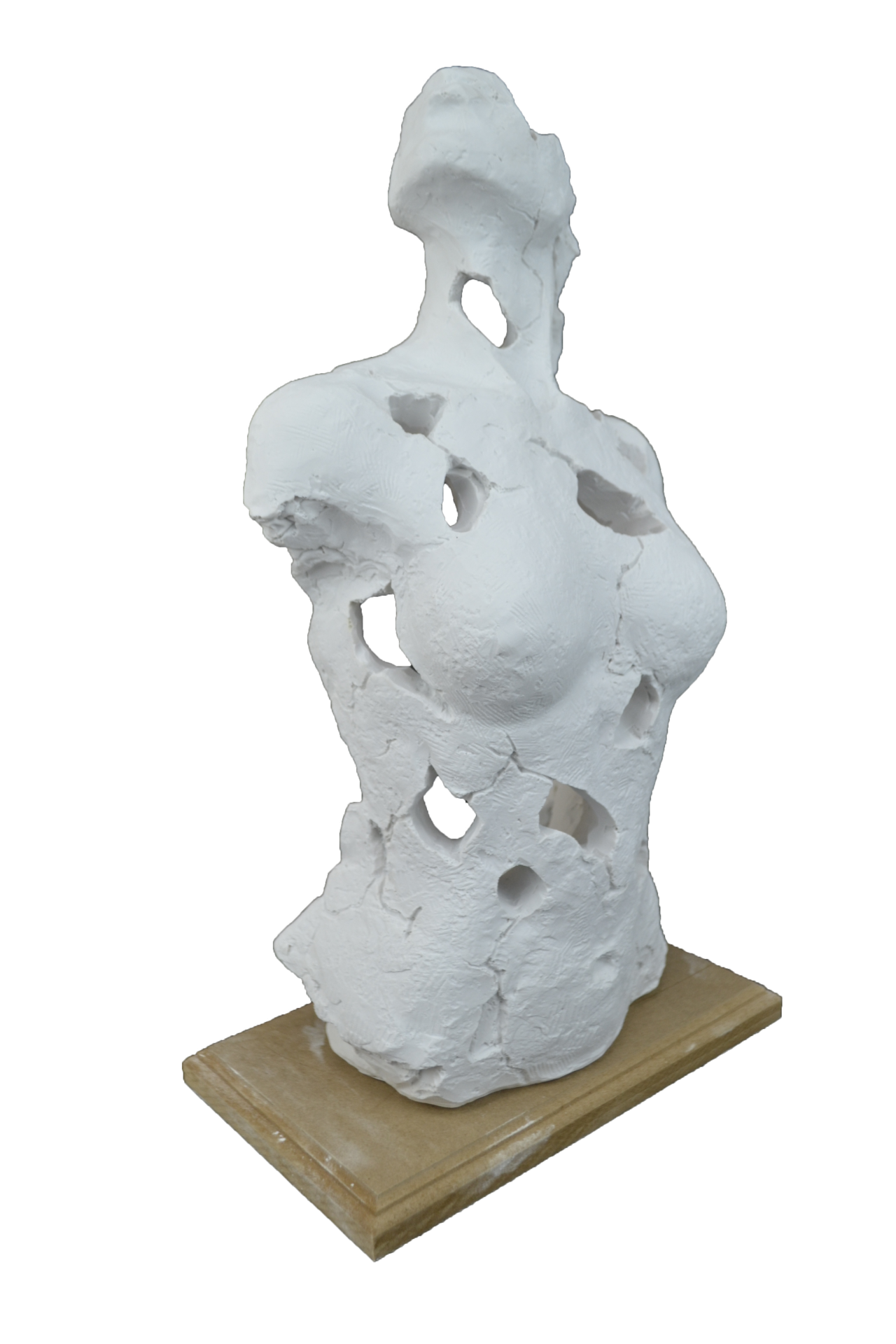 Boyanabilir Polyester Ham Objeler -SOYUT KADIN TORSO