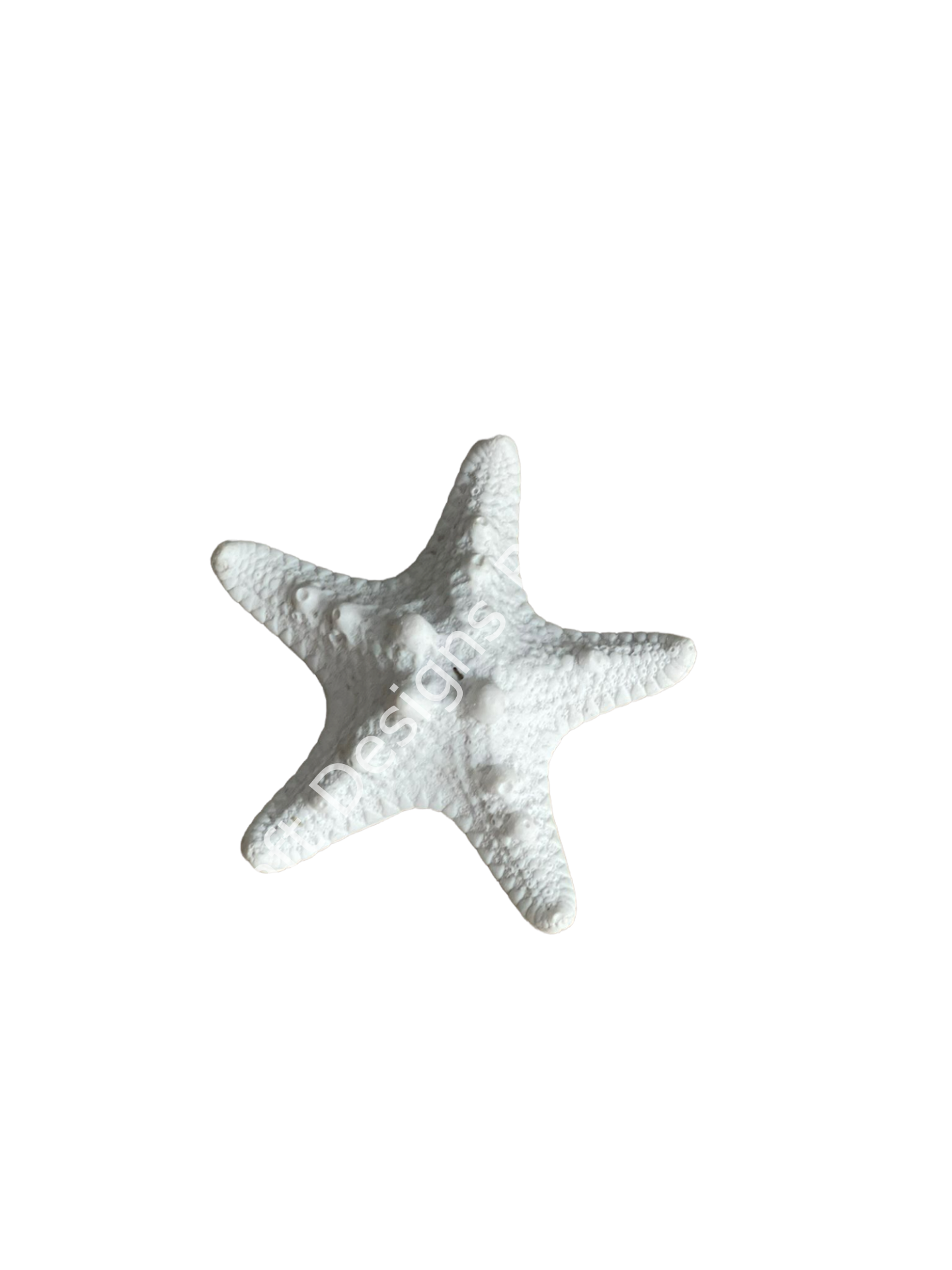 Boyanabilir Polyester Ham Objeler -DENİZ YILDIZI KÜÇÜK