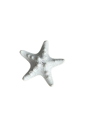 Boyanabilir Polyester Ham Objeler -DENİZ YILDIZI KÜÇÜK