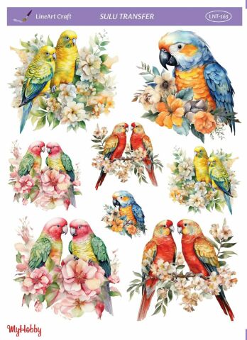 Lineart SULU TRANSFER LNT 163