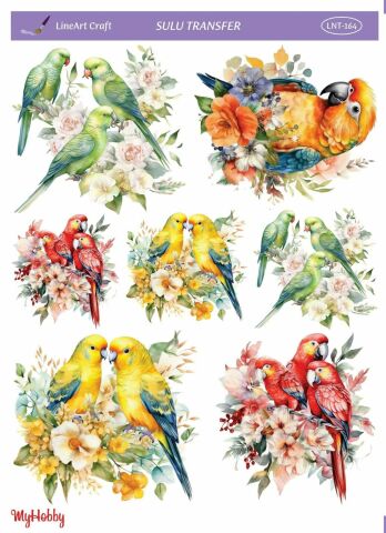 Lineart SULU TRANSFER LNT 164