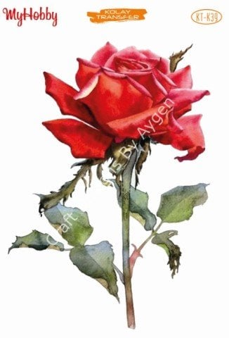 My Hobby KOLAY TRANSFER KT K39