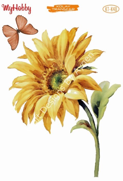 My Hobby KOLAY TRANSFER KT K40