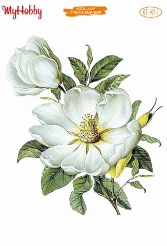 My Hobby KOLAY TRANSFER KT K41