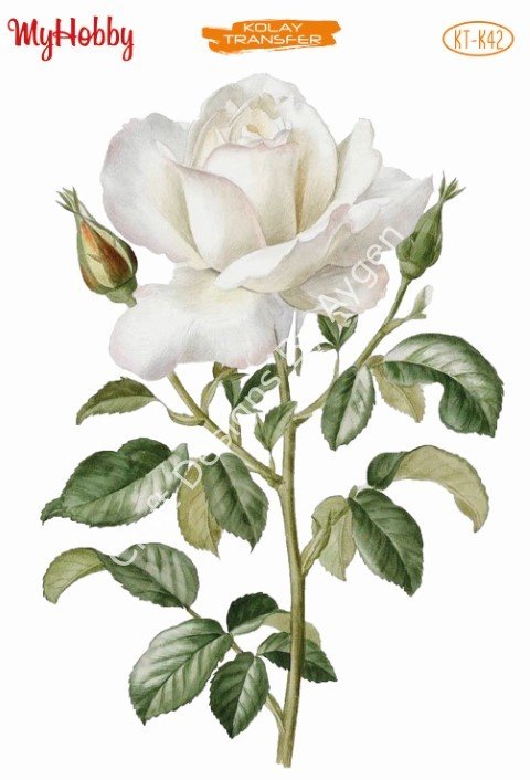 My Hobby KOLAY TRANSFER KT K42