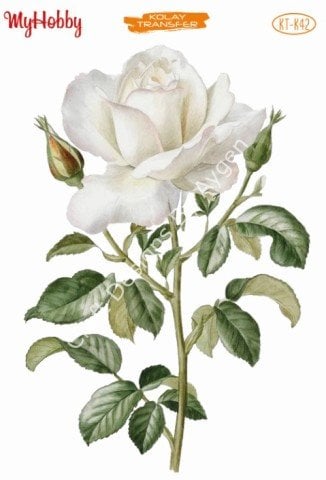 My Hobby KOLAY TRANSFER KT K42