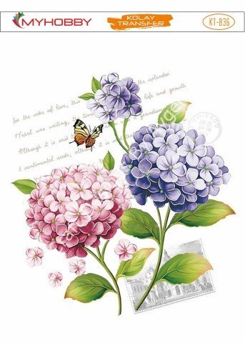 My Hobby KOLAY TRANSFER KT B36