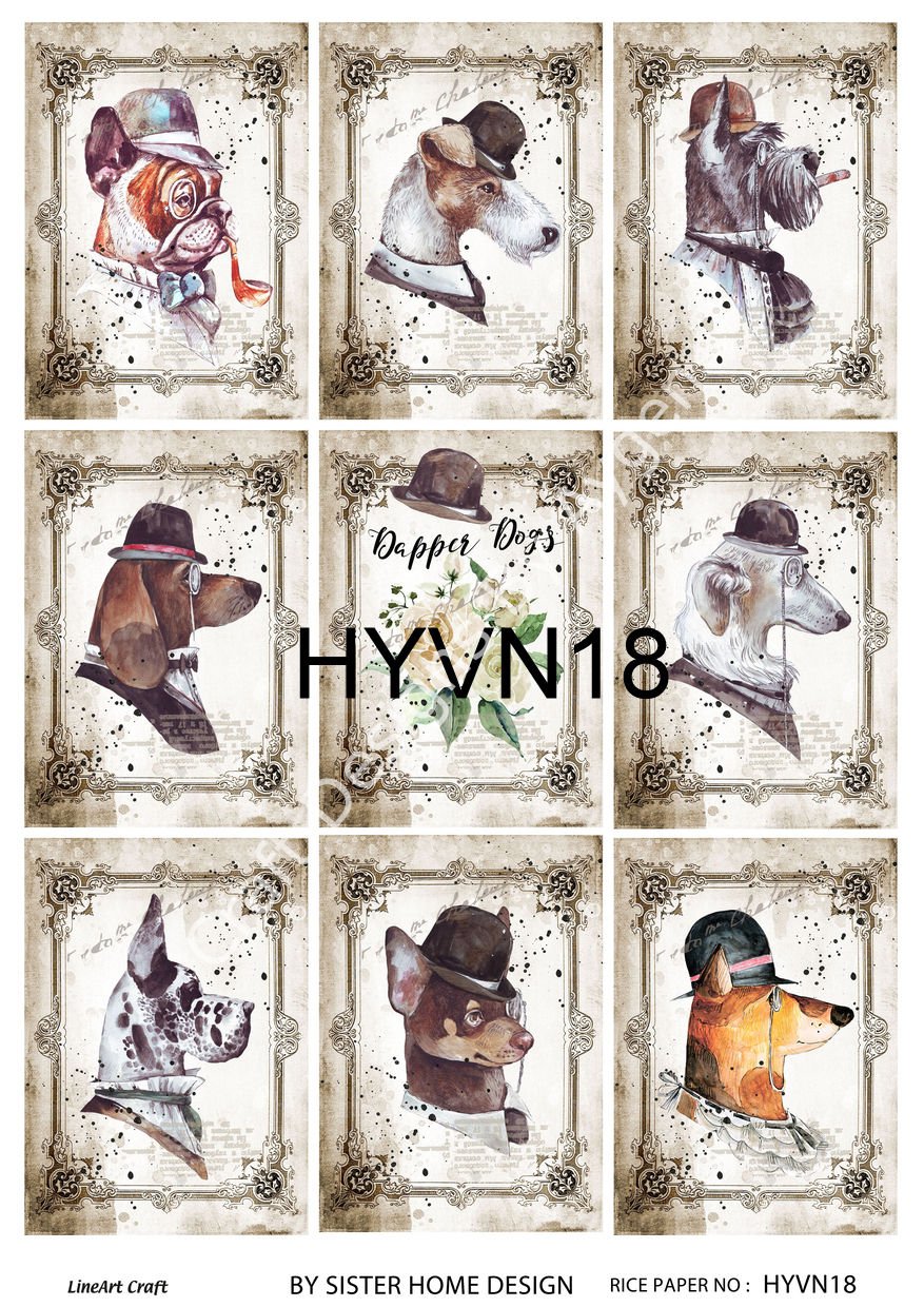 HYVN 18
