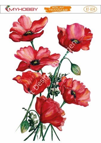 My Hobby KOLAY TRANSFER KT B34