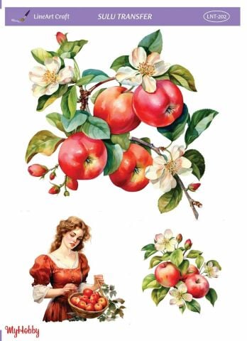 Lineart SULU TRANSFER LNT 202