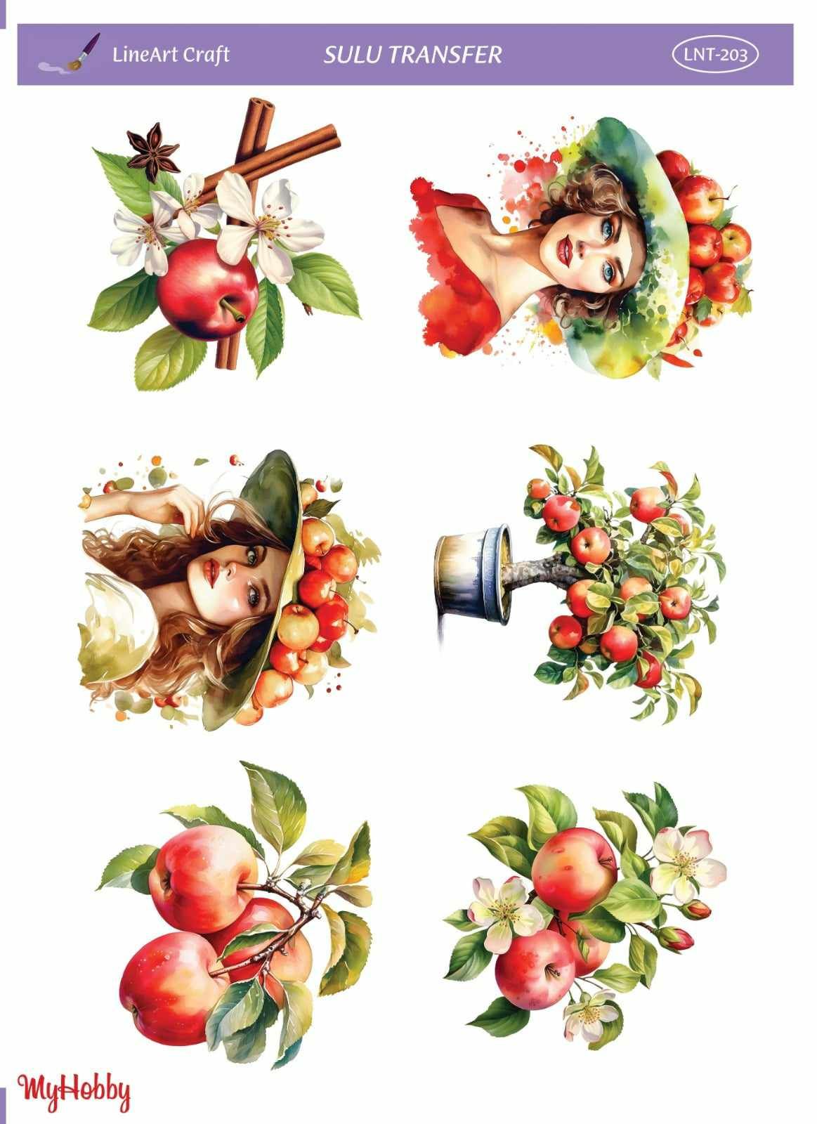 Lineart SULU TRANSFER LNT 203