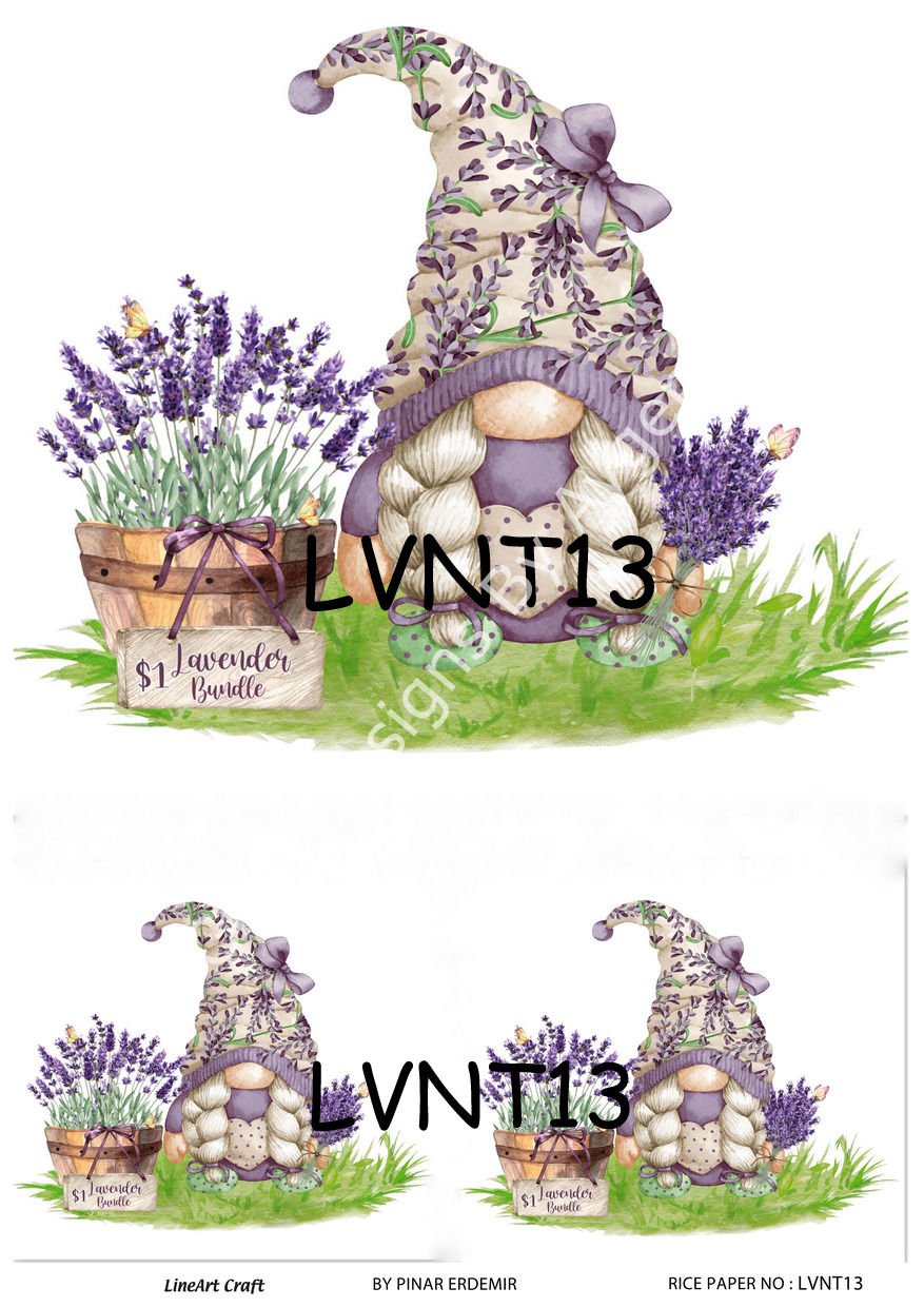 LVNT 13