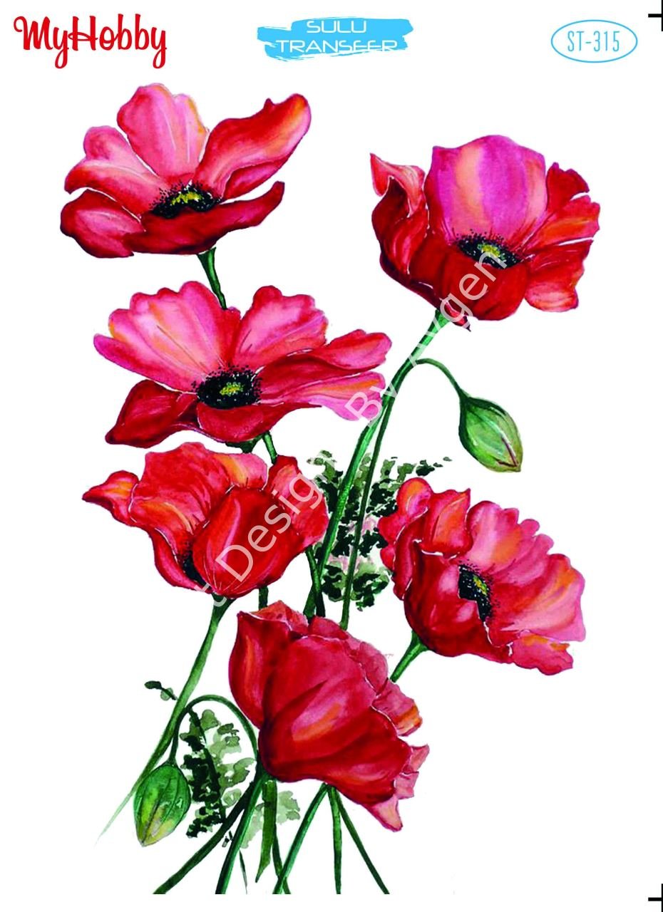 My Hobby SULU TRANSFER 315