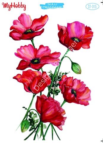 My Hobby SULU TRANSFER 315