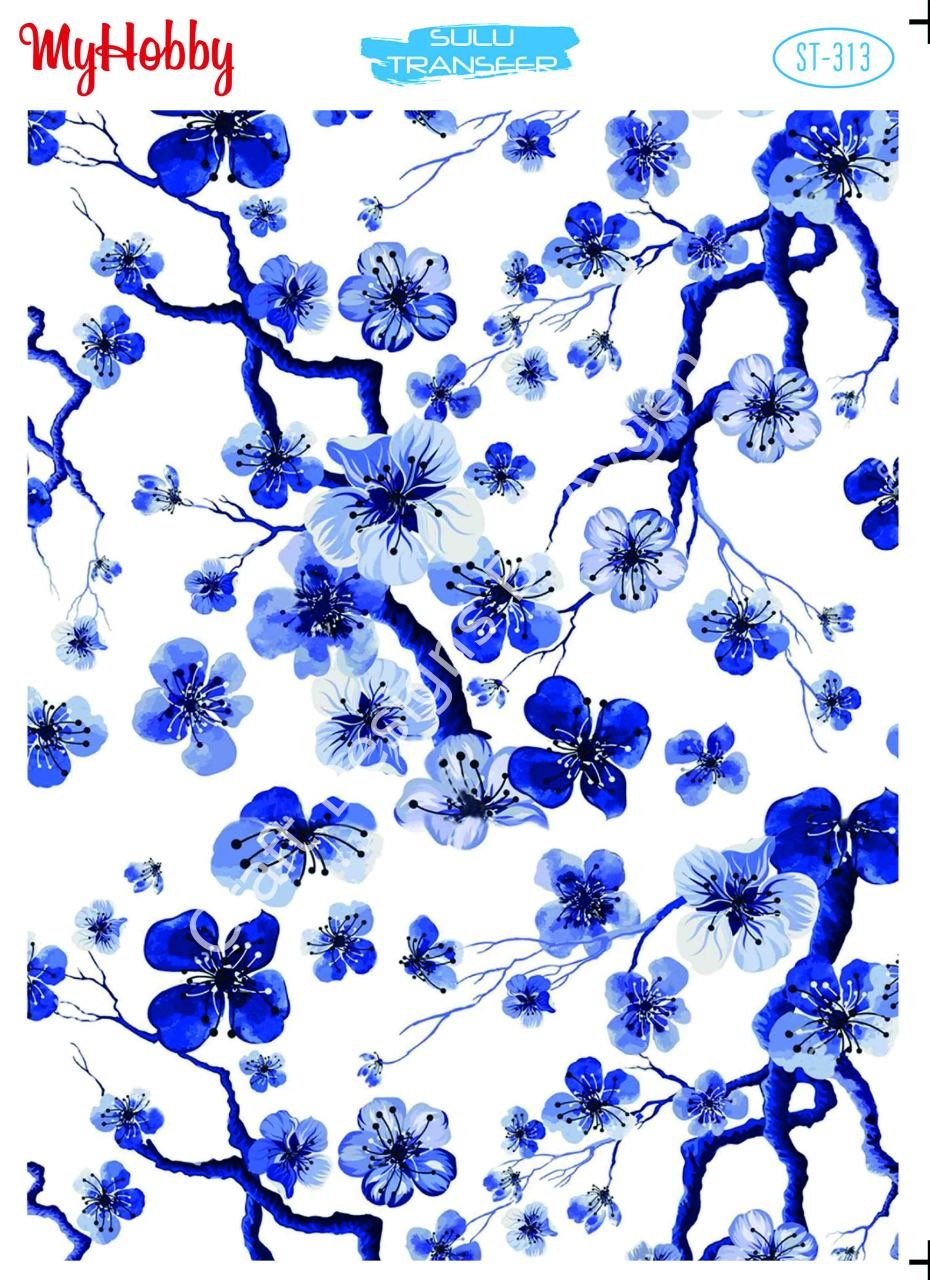 My Hobby SULU TRANSFER 313