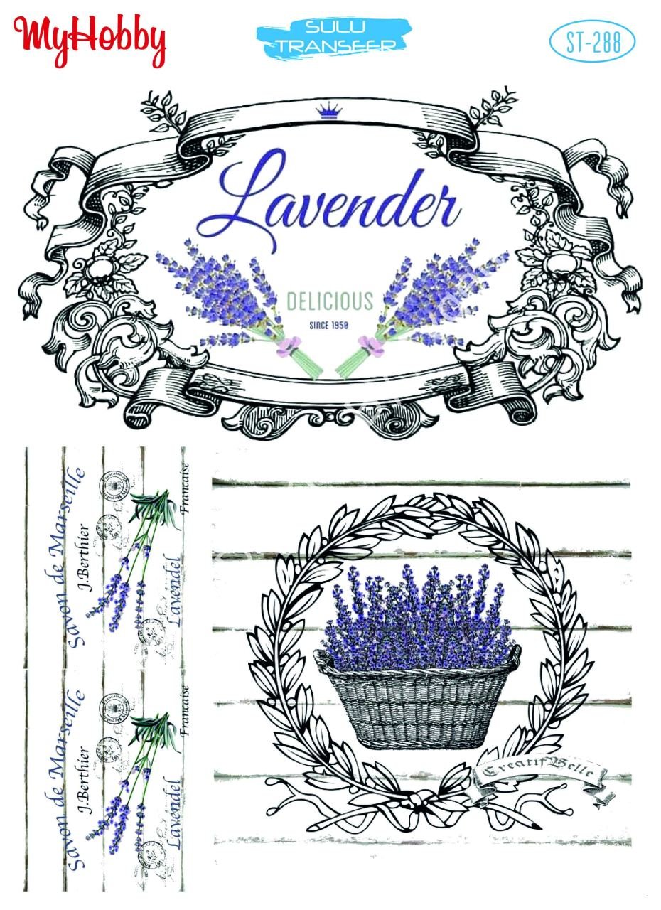 My Hobby SULU TRANSFER 288