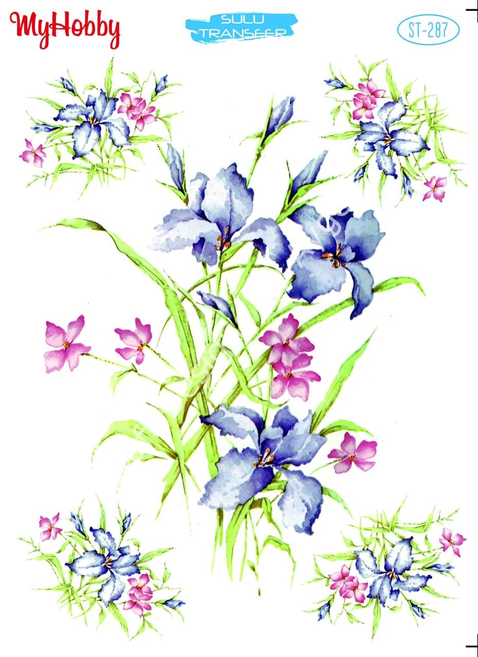 My Hobby SULU TRANSFER 287