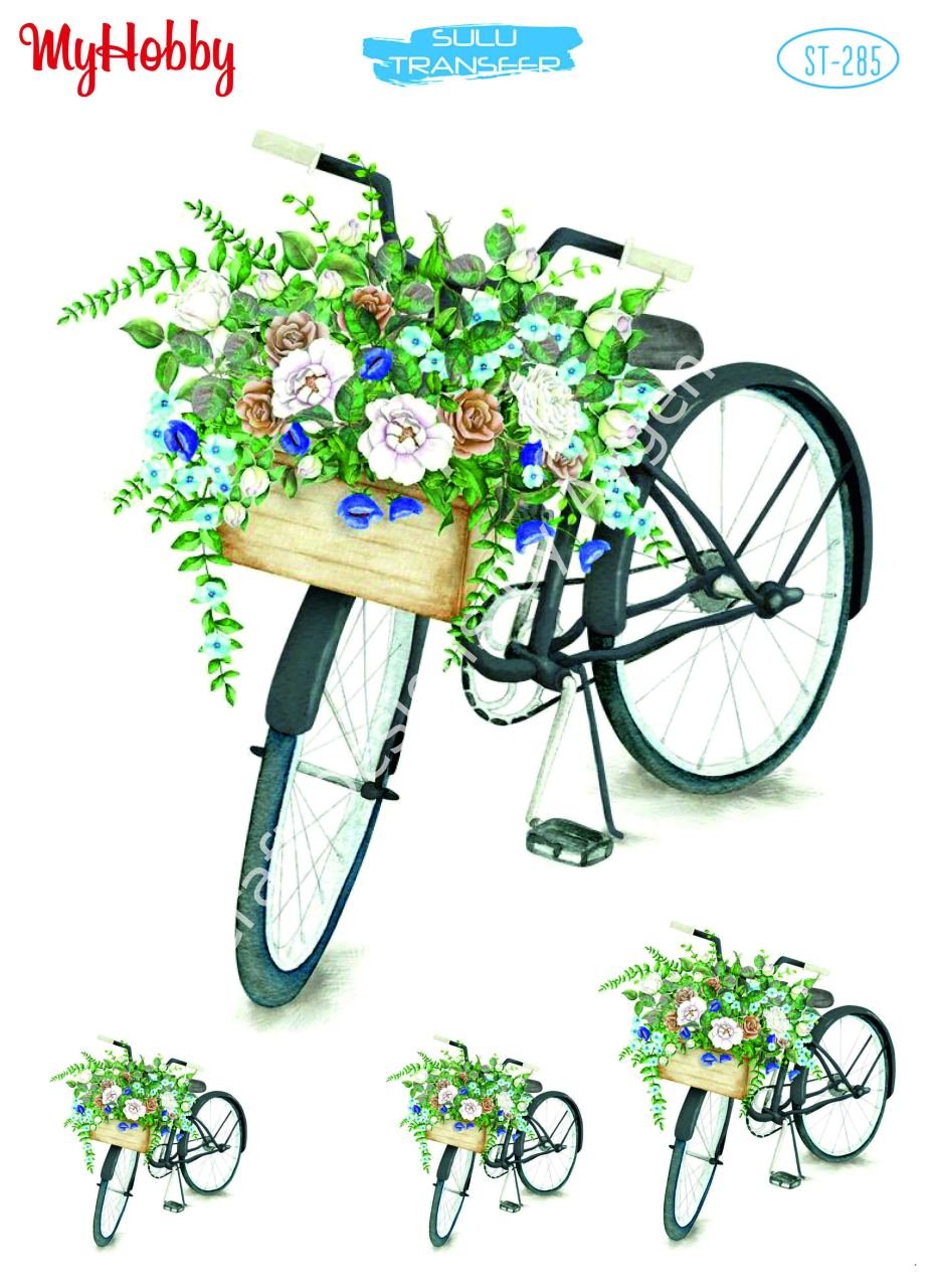 My Hobby SULU TRANSFER 285