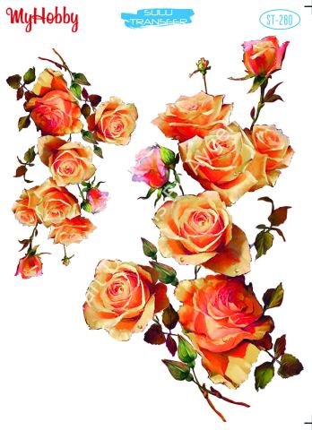 My Hobby SULU TRANSFER 280