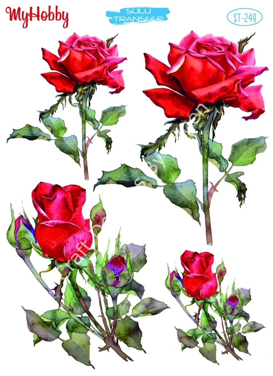 My Hobby SULU TRANSFER 249