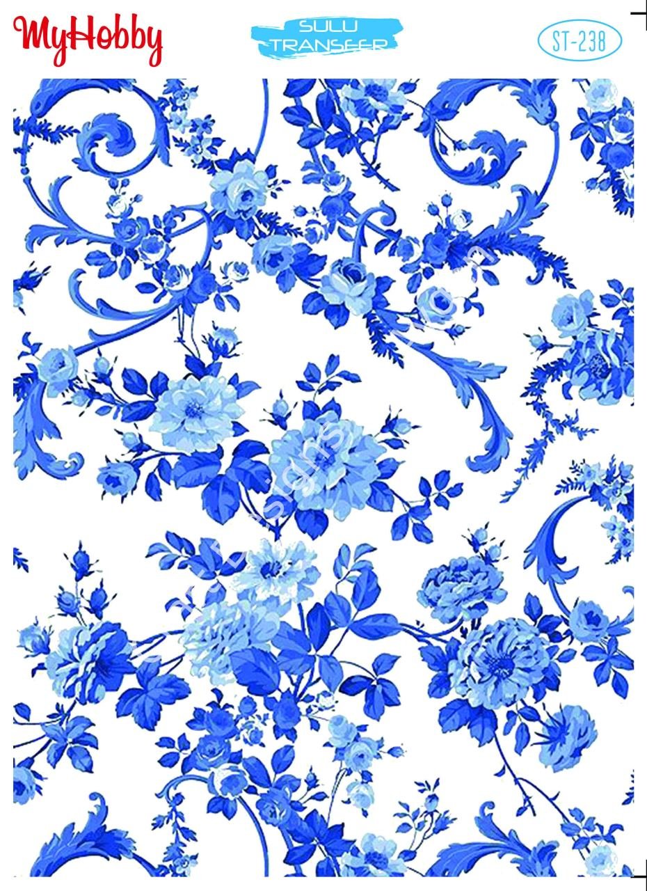 My Hobby SULU TRANSFER 238