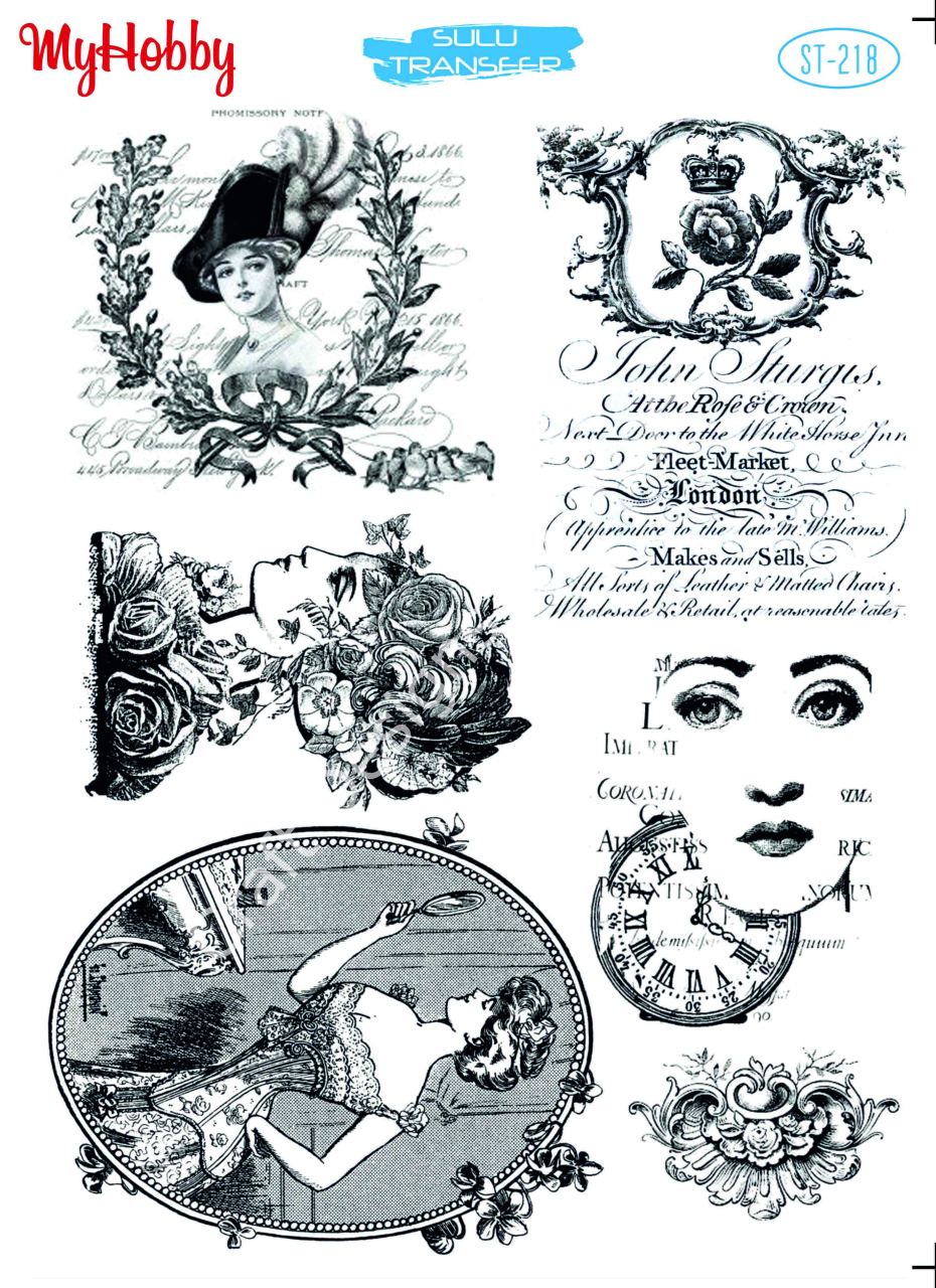 My Hobby SULU TRANSFER 218