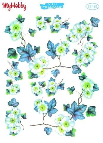 My Hobby SULU TRANSFER 170