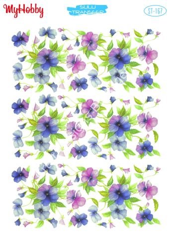 My Hobby SULU TRANSFER 167