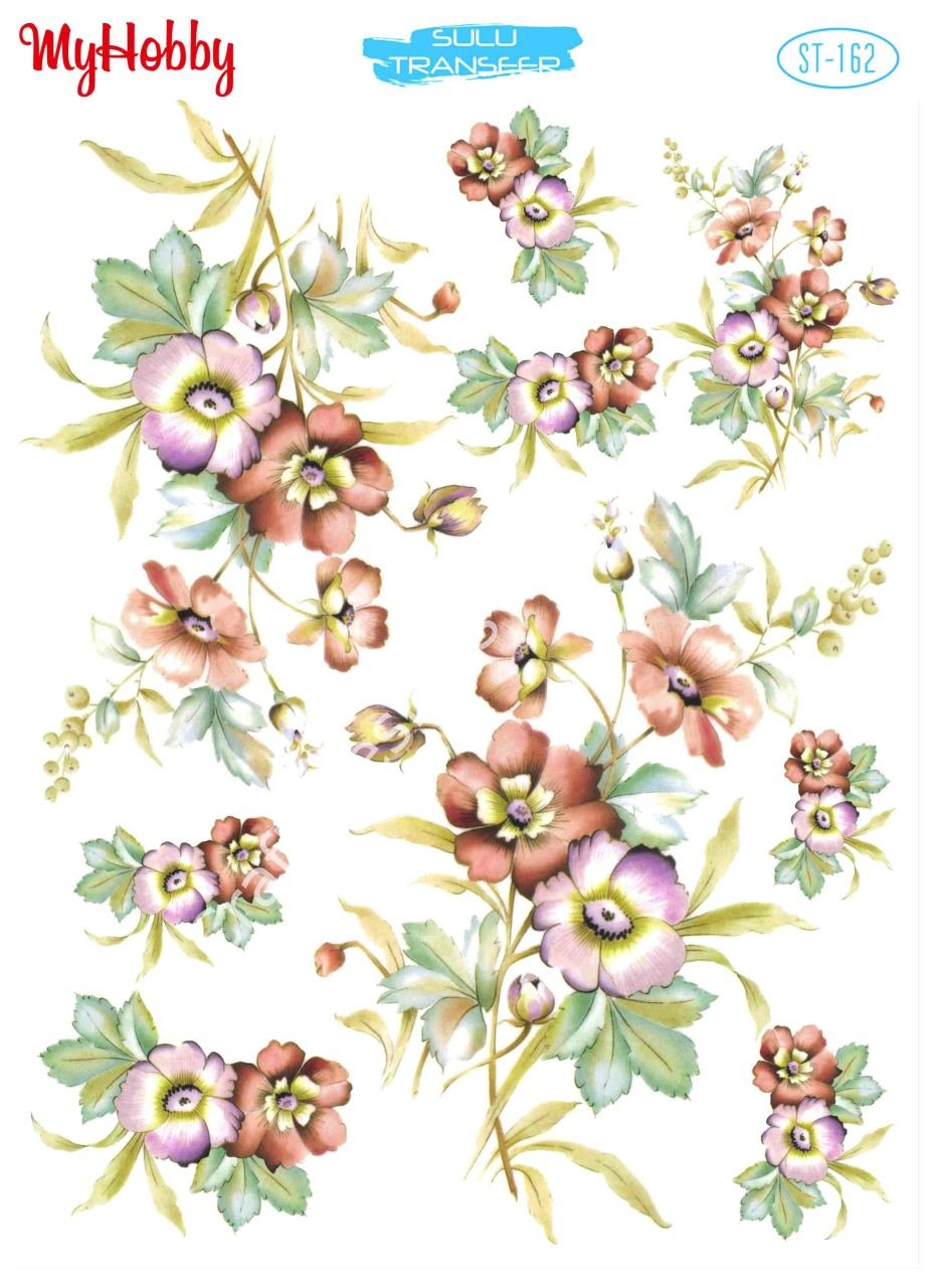 My Hobby SULU TRANSFER 162