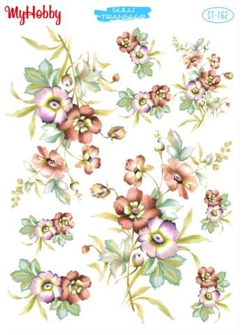 My Hobby SULU TRANSFER 162