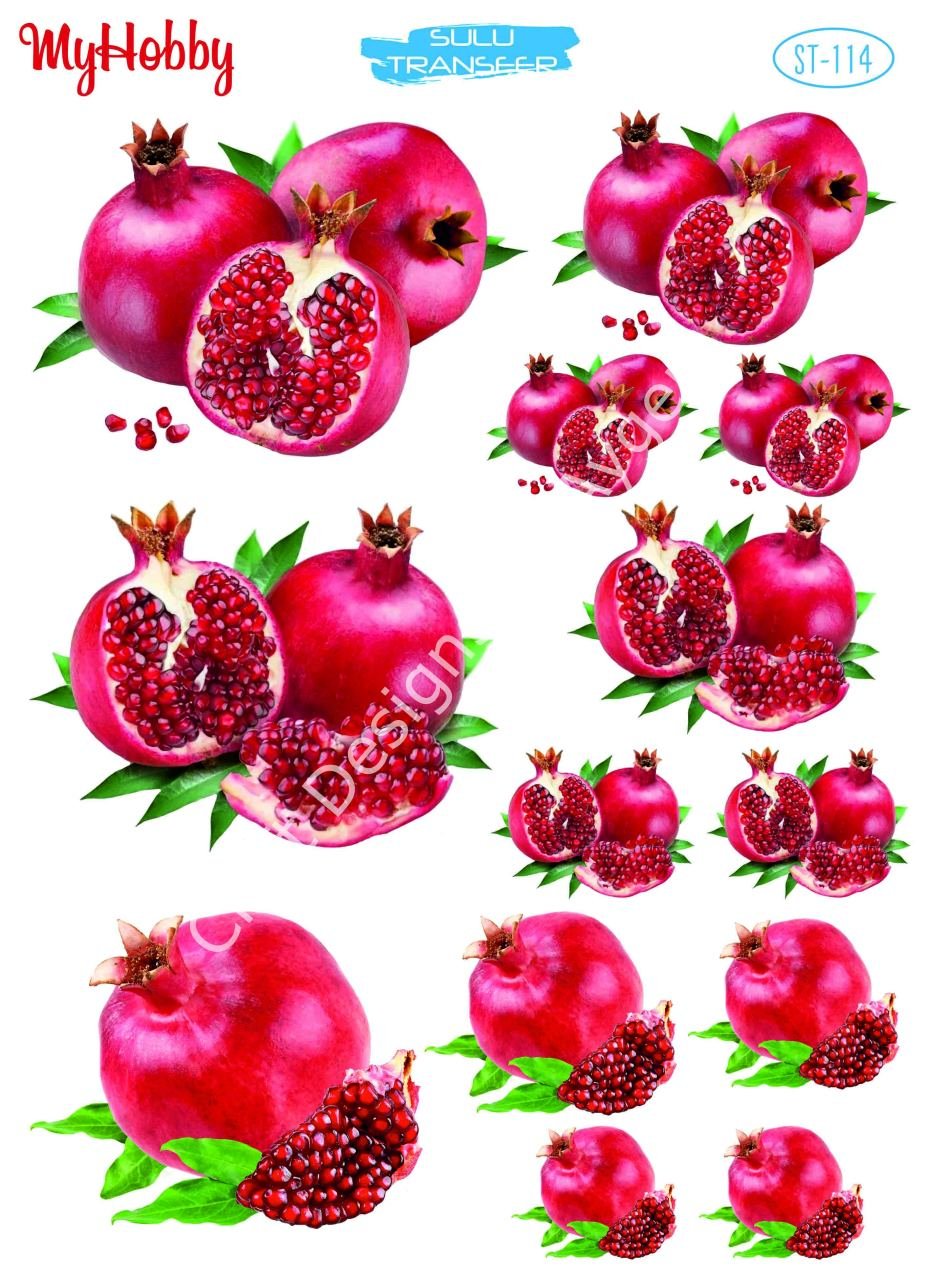 My Hobby SULU TRANSFER 114