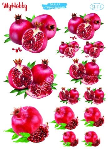 My Hobby SULU TRANSFER 114