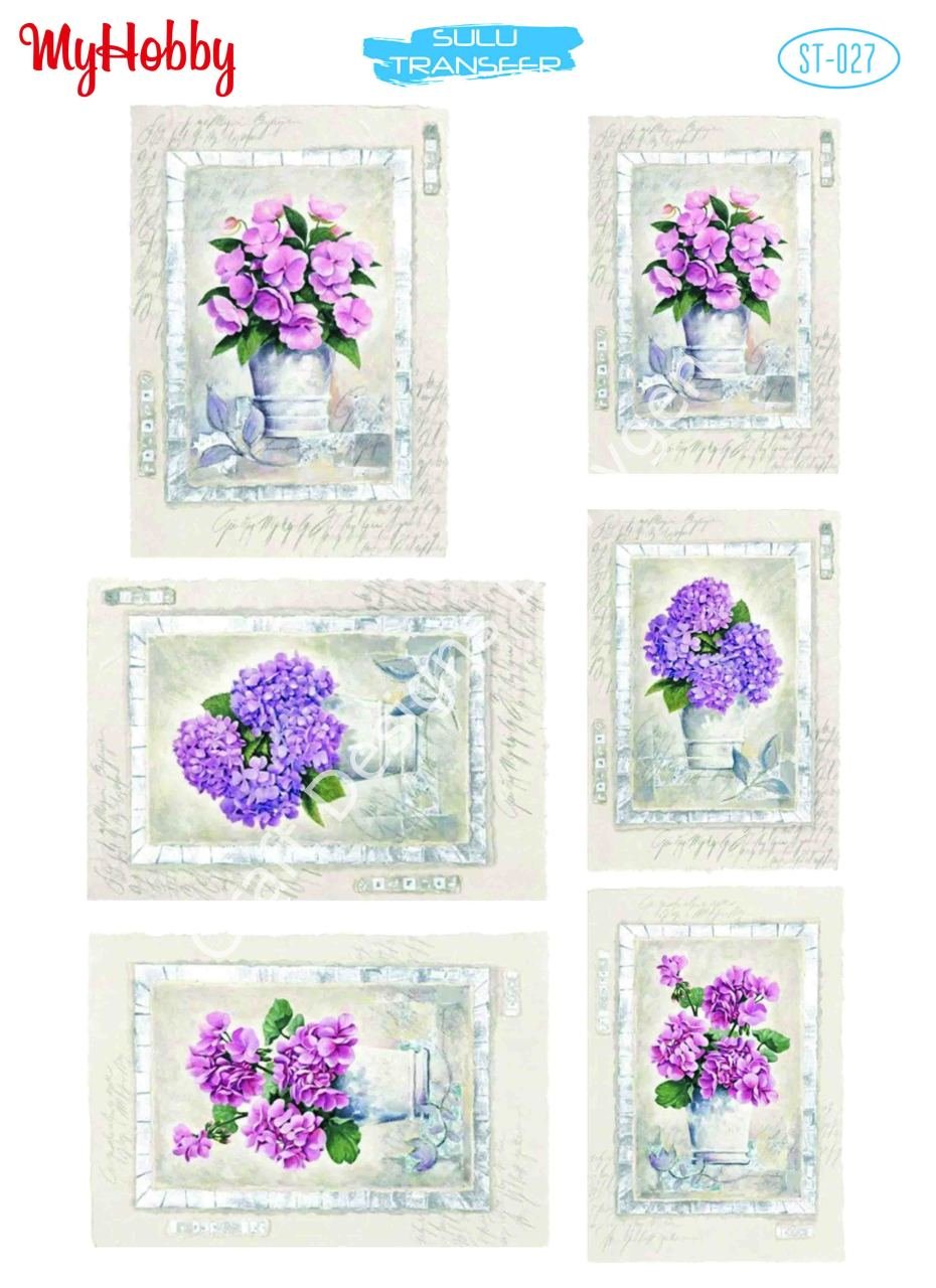 My Hobby SULU TRANSFER 027