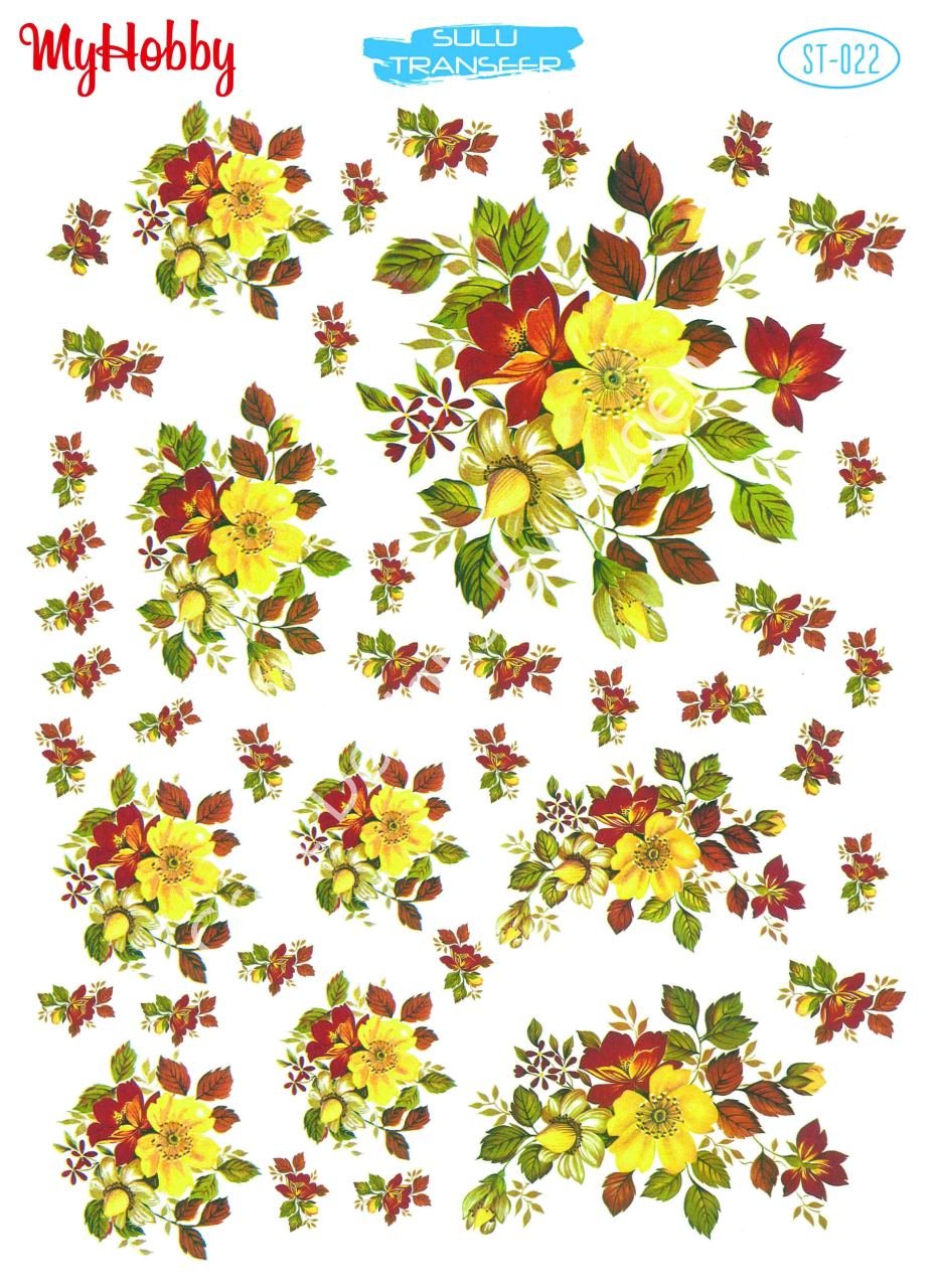 My Hobby SULU TRANSFER 022