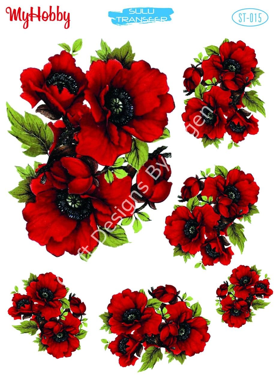 My Hobby SULU TRANSFER 015