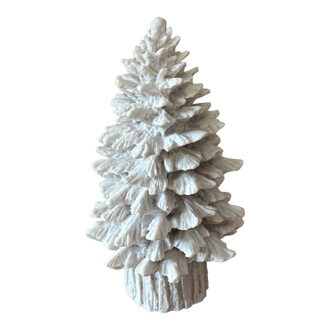 KÜTÜKLÜ ÇAM AĞACI