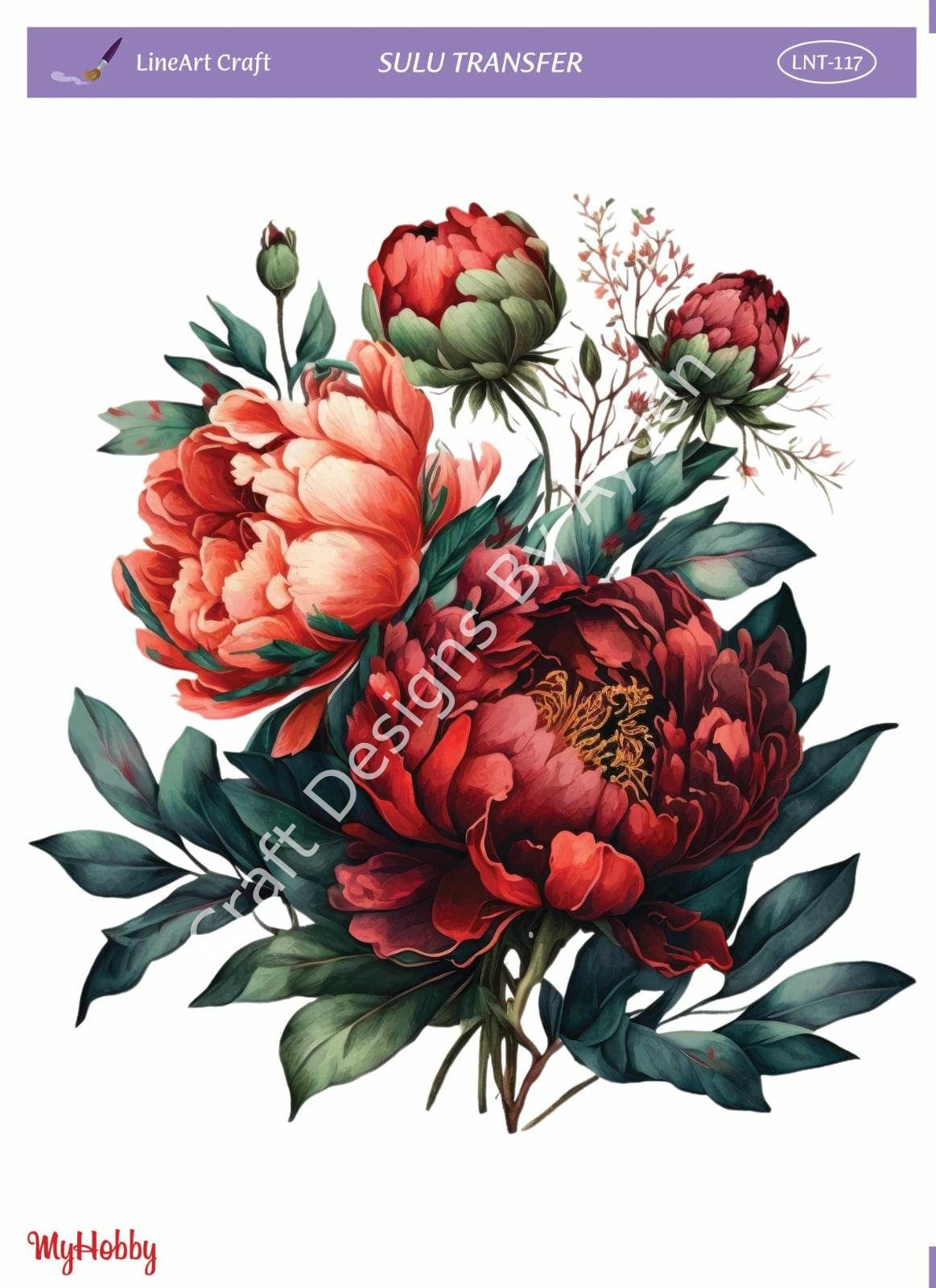 Lineart SULU TRANSFER LNT117