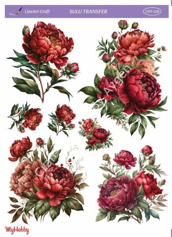 Lineart SULU TRANSFER LNT118