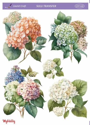 Lineart SULU TRANSFER LNT120