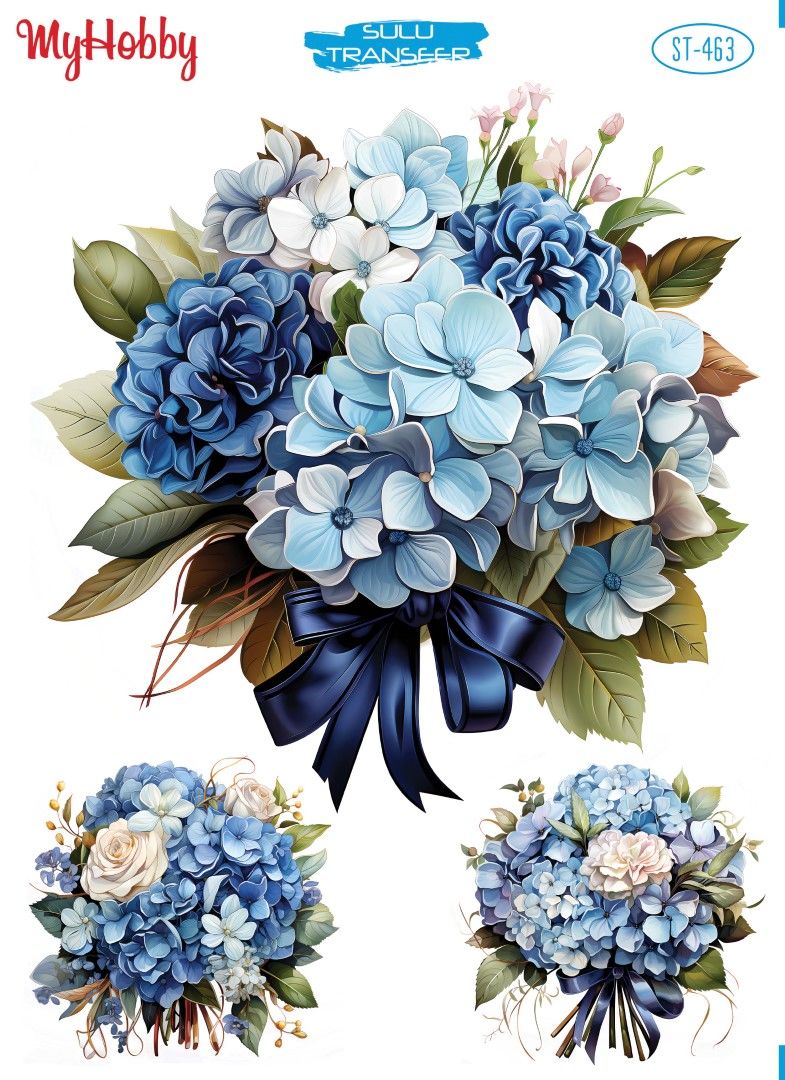 My Hobby SULU TRANSFER 463