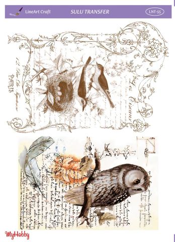 Lineart SULU TRANSFER LNT 55