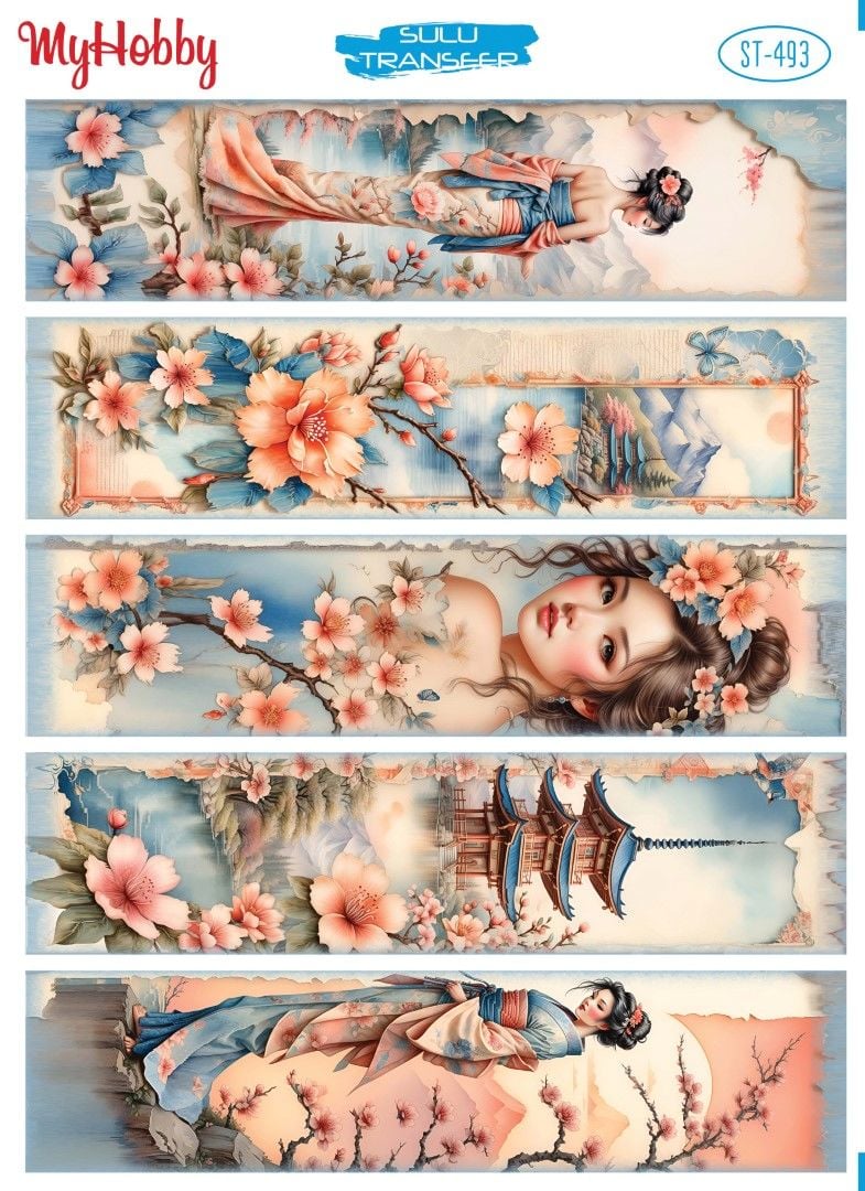 My Hobby SULU TRANSFER 493