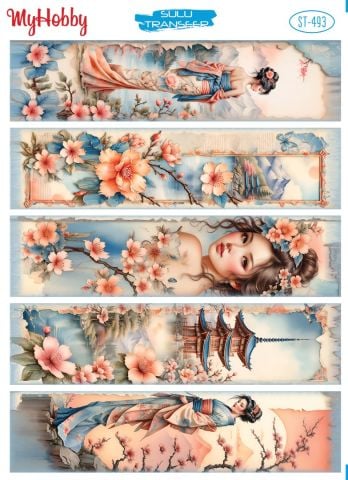 My Hobby SULU TRANSFER 493