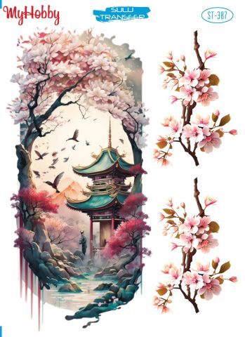 My Hobby SULU TRANSFER 387