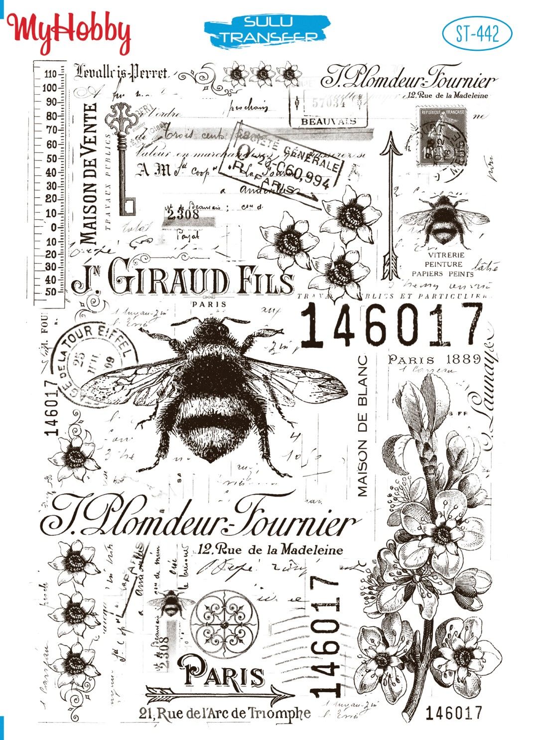 My Hobby SULU TRANSFER 442