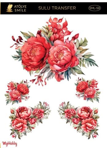 SMİLE SULU TRANSFER SML-58