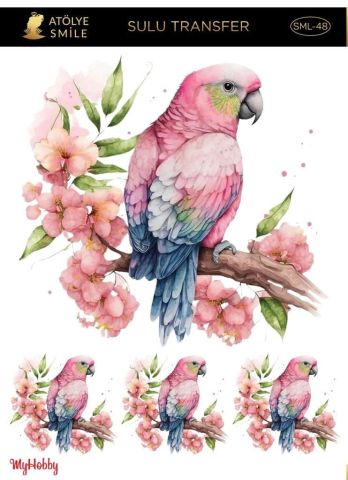 SMİLE SULU TRANSFER SML-48