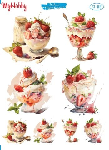 My Hobby SULU TRANSFER 408