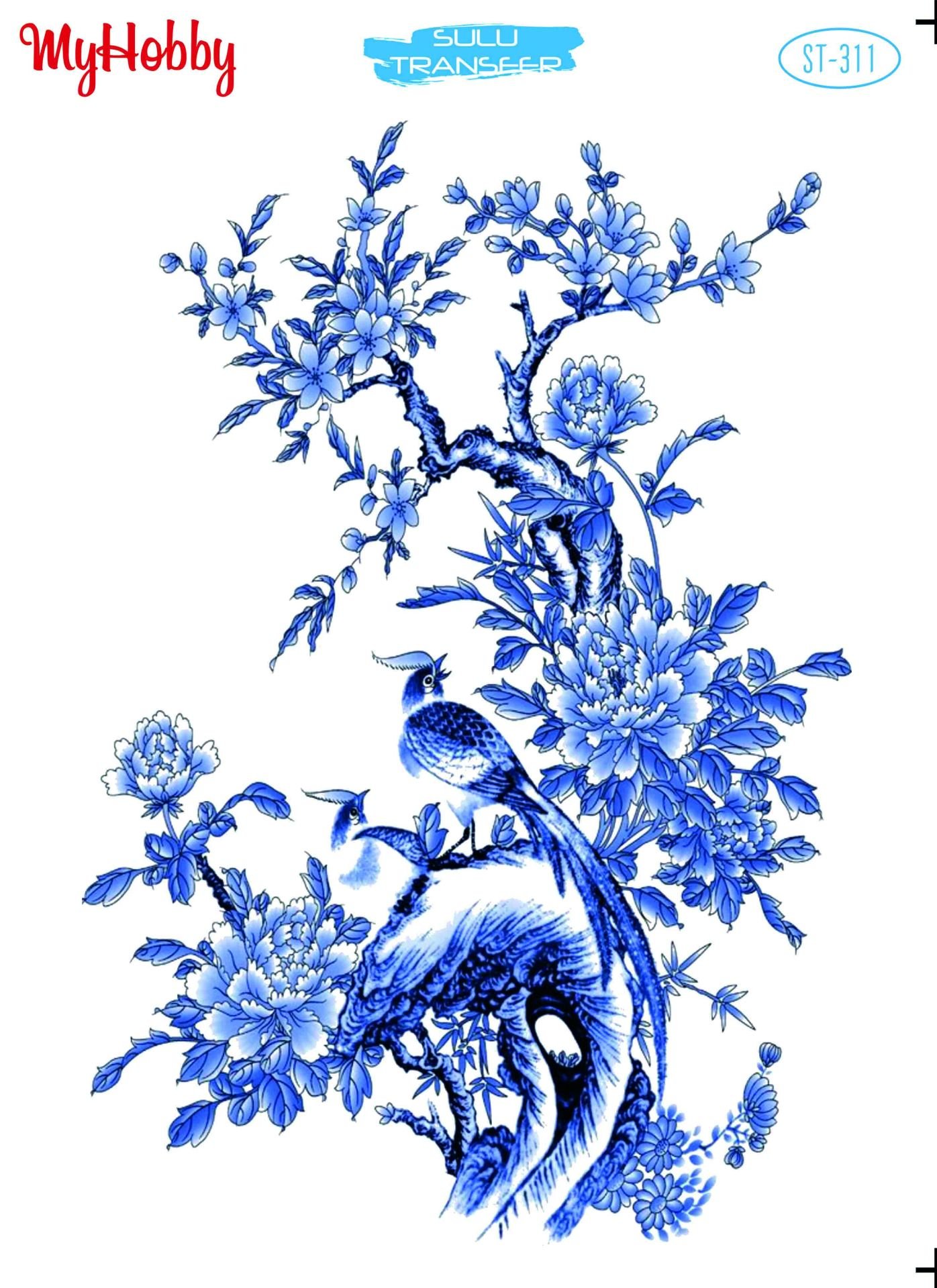 My Hobby SULU TRANSFER 311