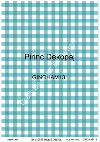 GINGHAM 13